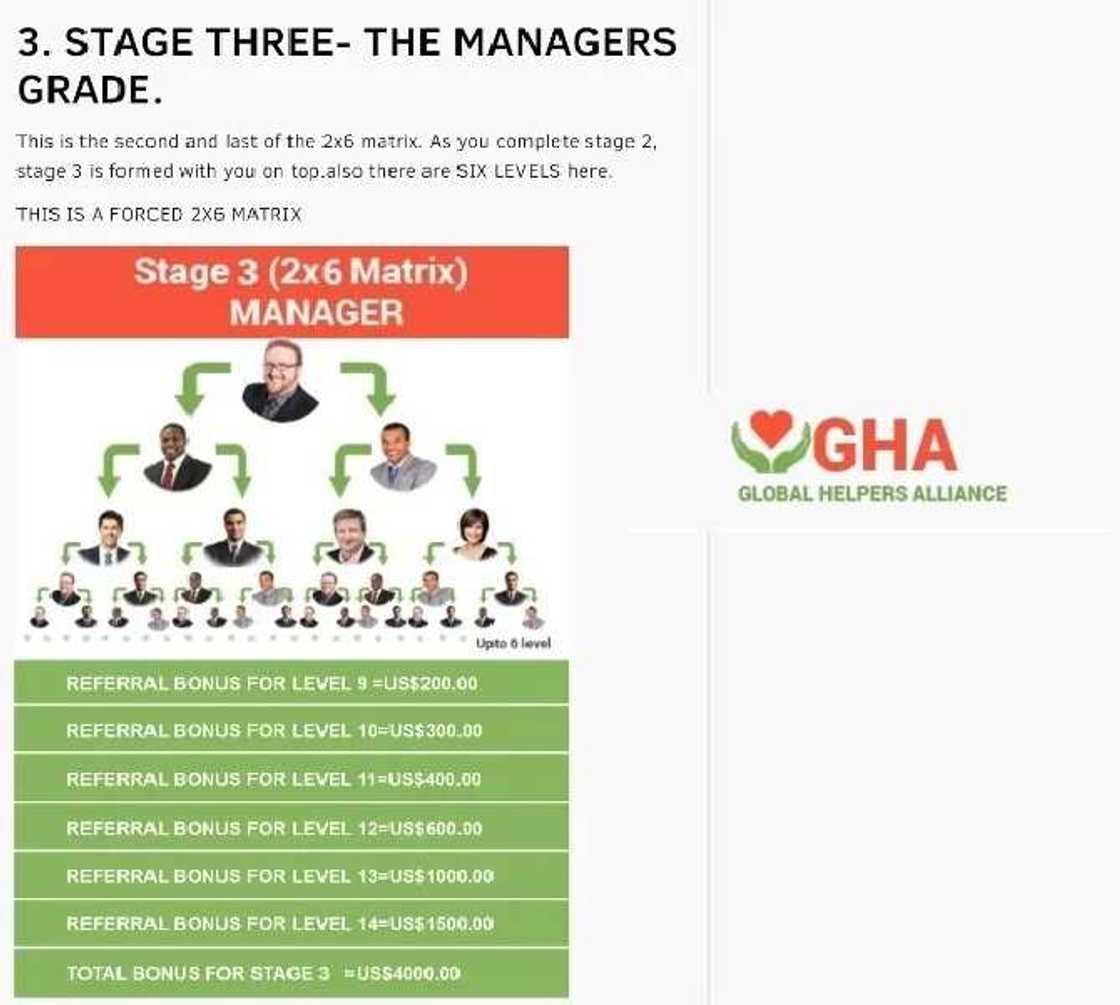 GHA - manager GHA - manager