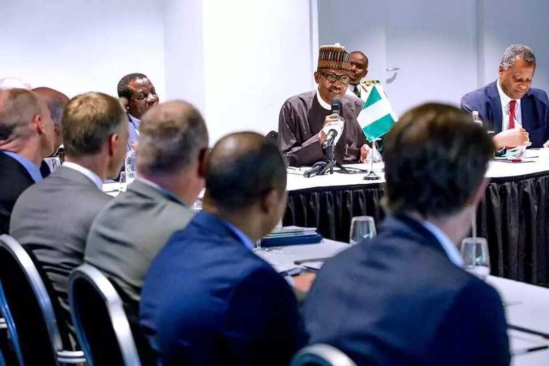 Dutch company plans to build cattle ranches in Nigeria, another to invest 11m Euros Dutch company plans to build cattle ranches in Nigeria, another to invest 11m Euros