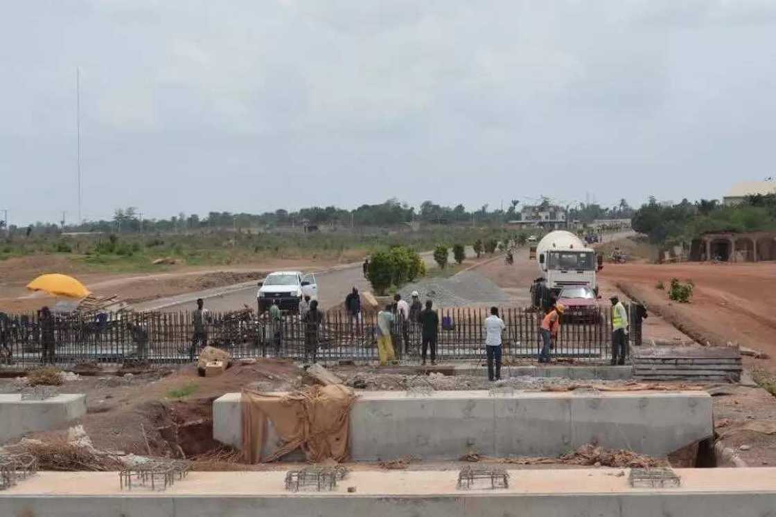 In Ebonyi, it is a near-crime not to be a farmer In Ebonyi, it is a near-crime not to be a farmer