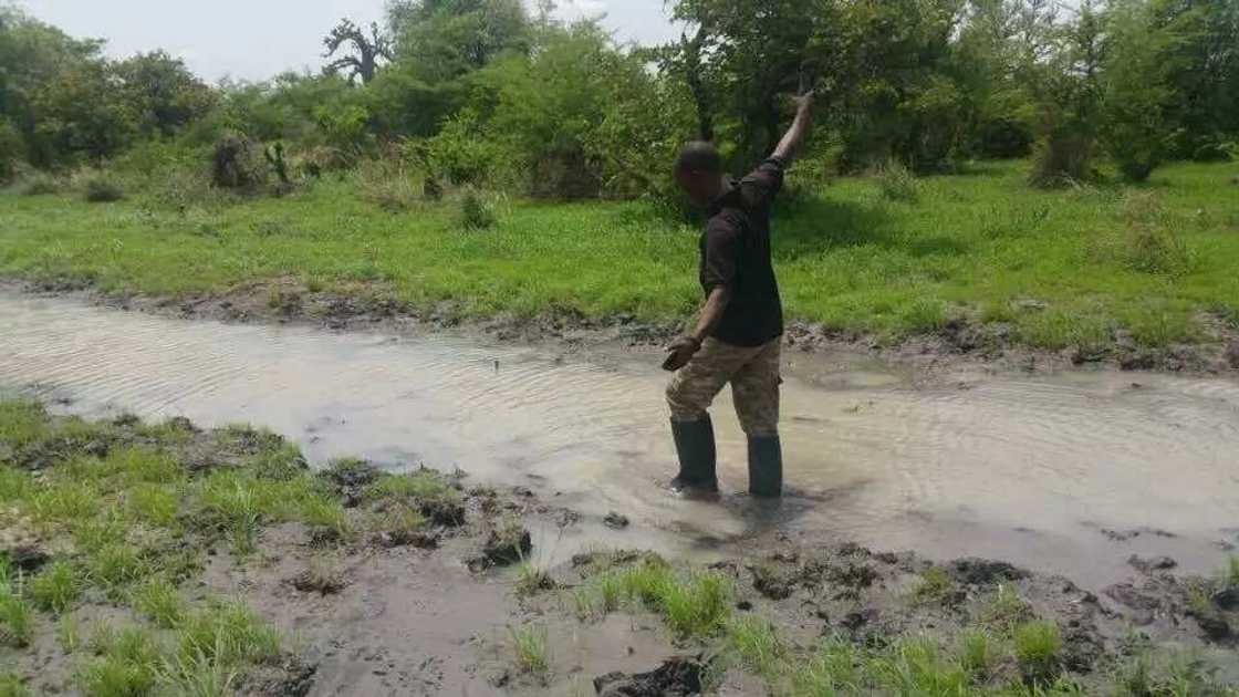 Troops arrest Boko Haram member, recovers and destroys IED