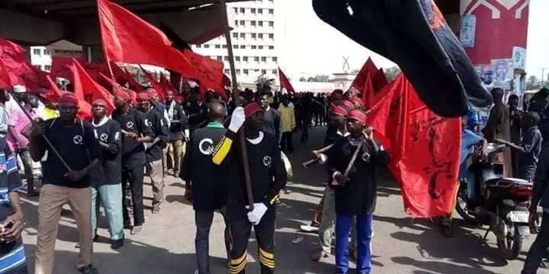 Cikin Hotuna: Tattakin da Kungiyar Shi'a ta fara gudanarwa a jihar Kano Cikin Hotuna: Tattakin da Kungiyar Shi'a ta fara gudanarwa a jihar Kano