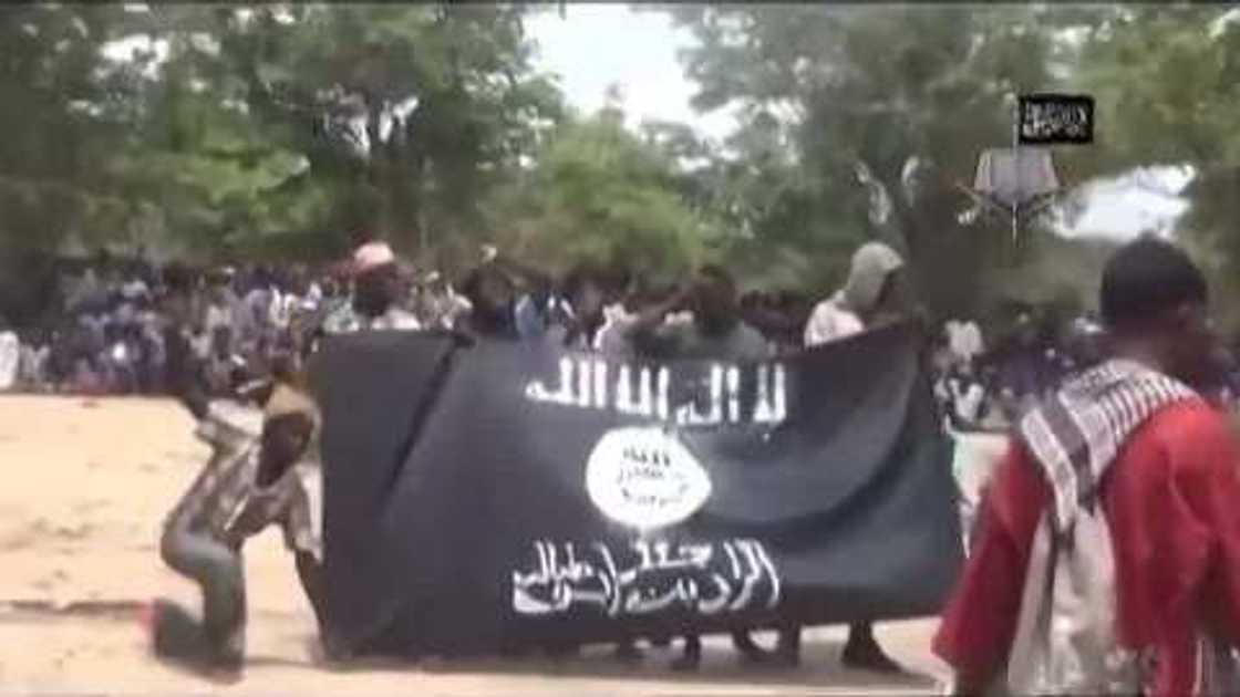 Boko Haram suicide bombers kill 4 in Borno