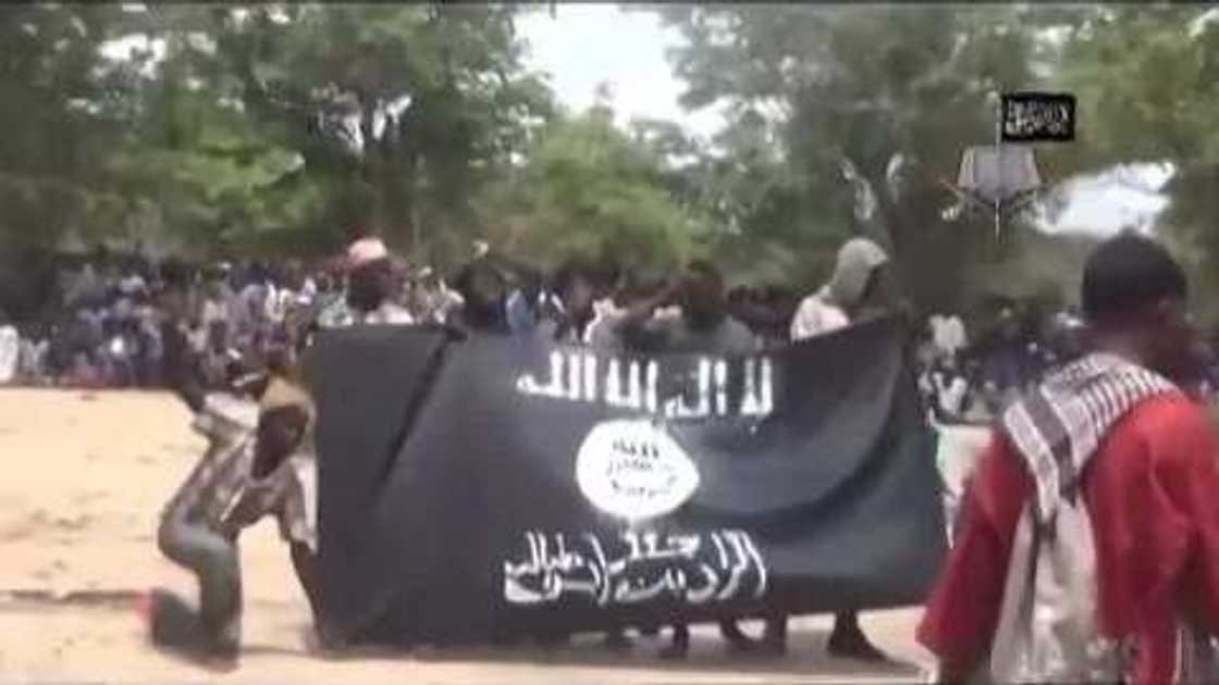 Boko Haram suicide bombers kill 4 in Borno Boko Haram suicide bombers kill 4 in Borno