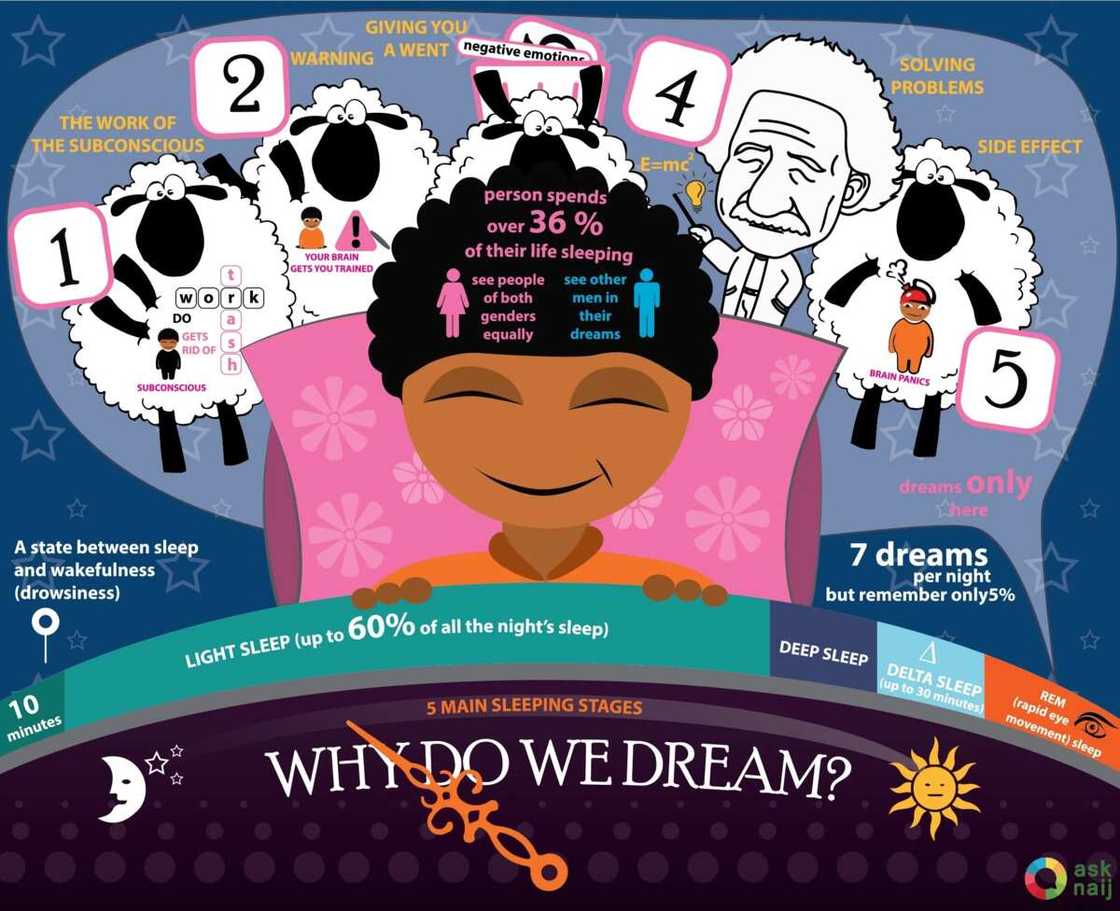 What is dream and why do we dream? What is dream and why do we dream?