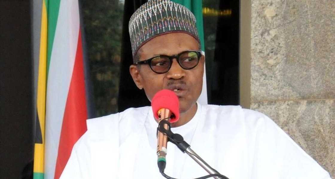 Buhari zai ci koda kuwa babu nPDP - Sanata Abu Ibrahim