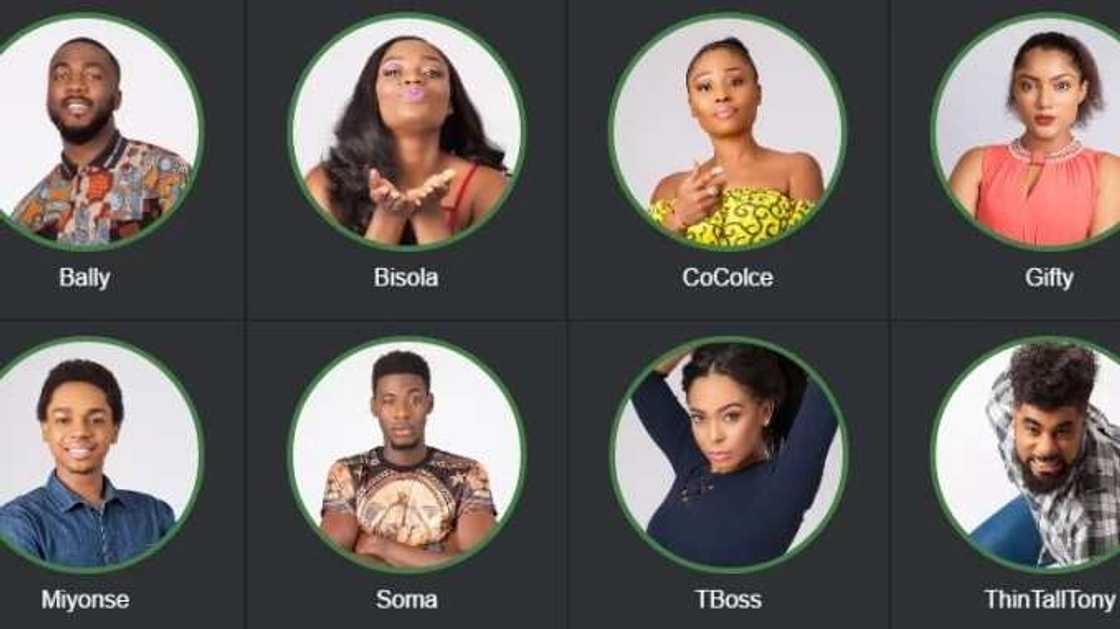 BBC make comparisons between Big Brother Naija and Buhari's absence BBC make comparisons between Big Brother Naija and Buhari's absence