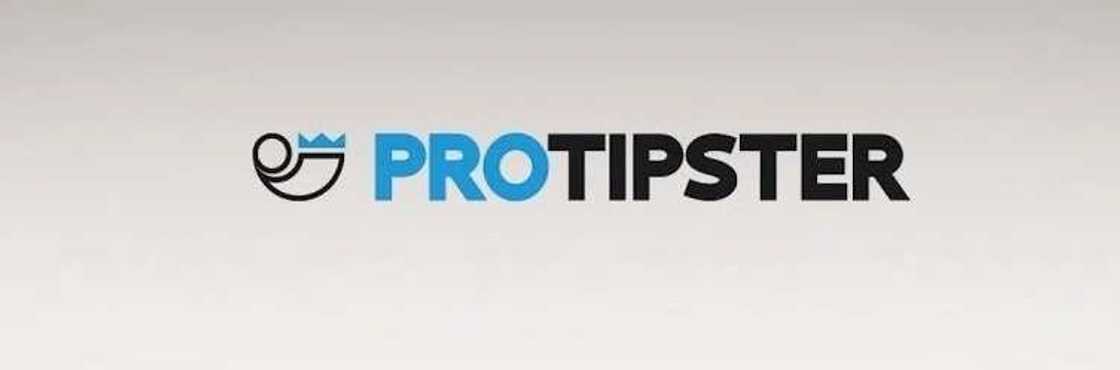 protipster protipster
