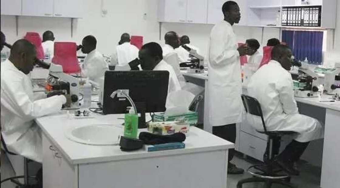 Alhamdulillah: Najeriya ta ƙirkiro maganin warkar da cutar farfaɗiya Alhamdulillah: Najeriya ta ƙirkiro maganin warkar da cutar farfaɗiya