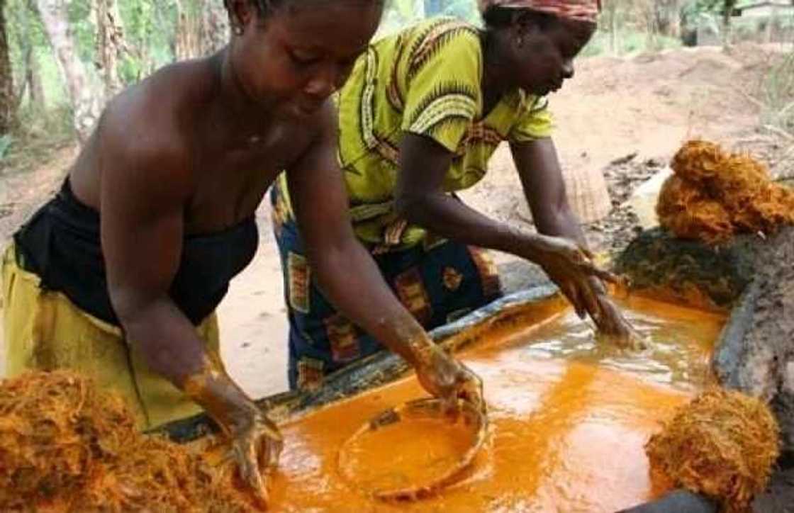 Companies that buy palm oil in Nigeria Companies that buy palm oil in Nigeria