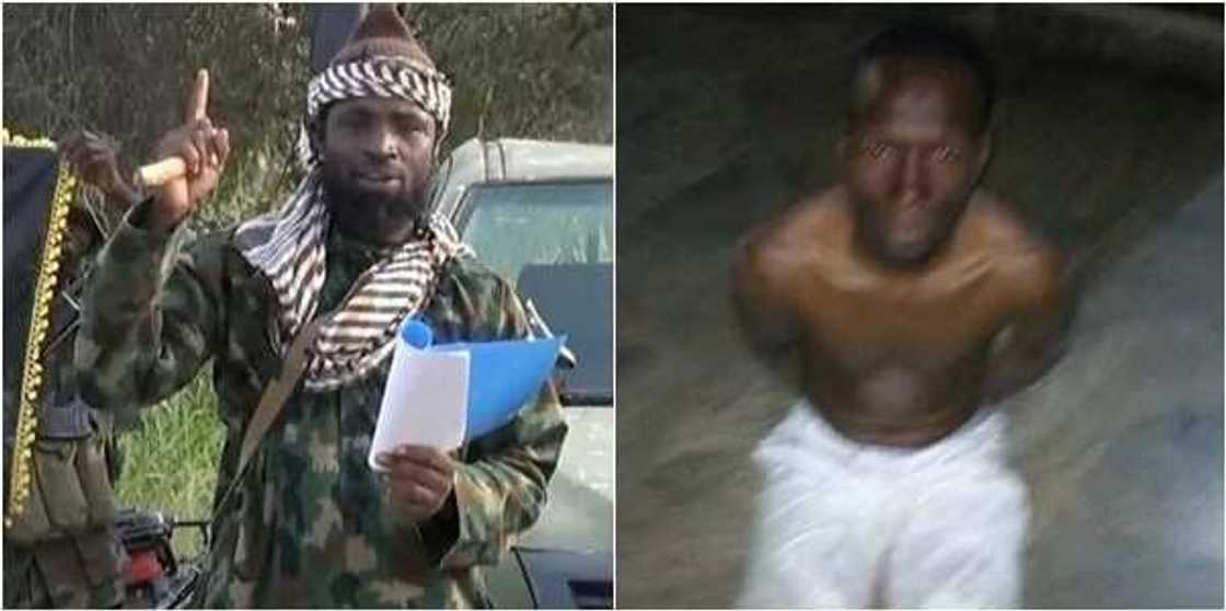 Abubakar Shekau ya gudu zuwa Kolofata a Kamaru – Kwamandan Boko Haram da aka kama