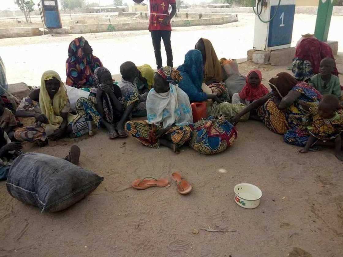 Boko Haram: Nigerian army rescues 500 people Boko Haram: Nigerian army rescues 500 people