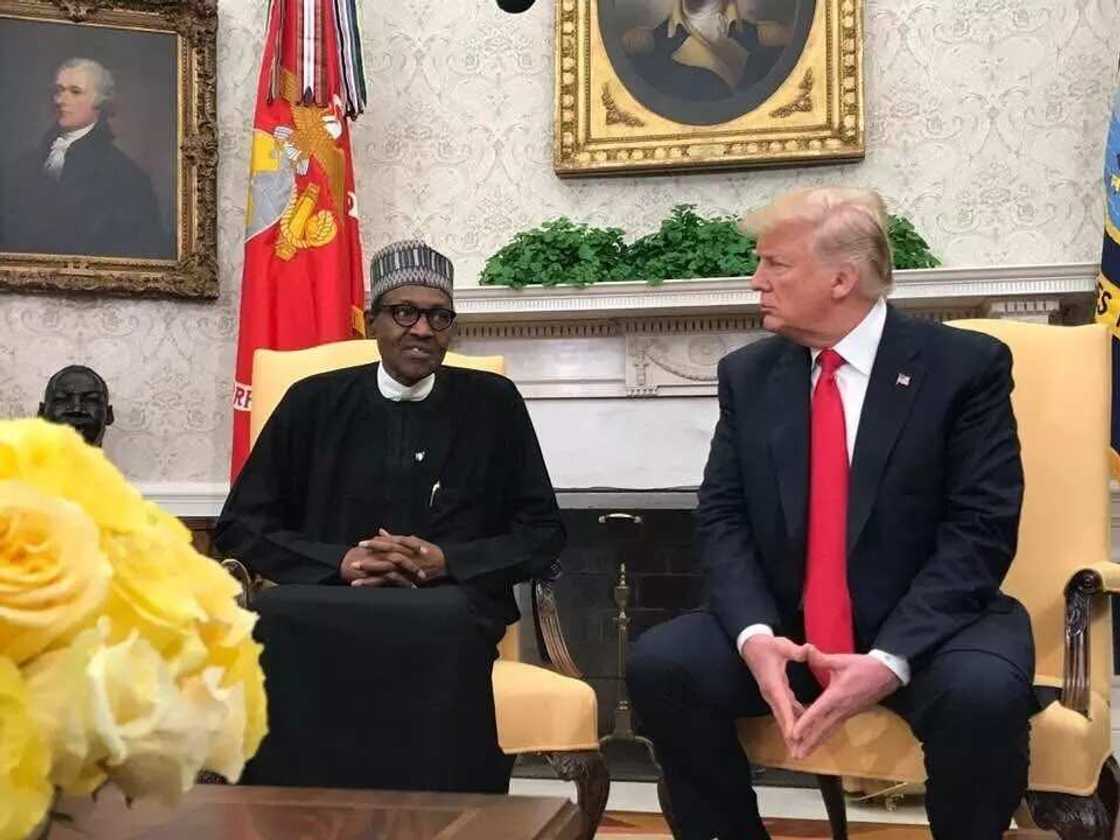 Buhari’s visit to U.S. will open up American market for Nigerian goods - Lawyer Buhari’s visit to U.S. will open up American market for Nigerian goods - Lawyer