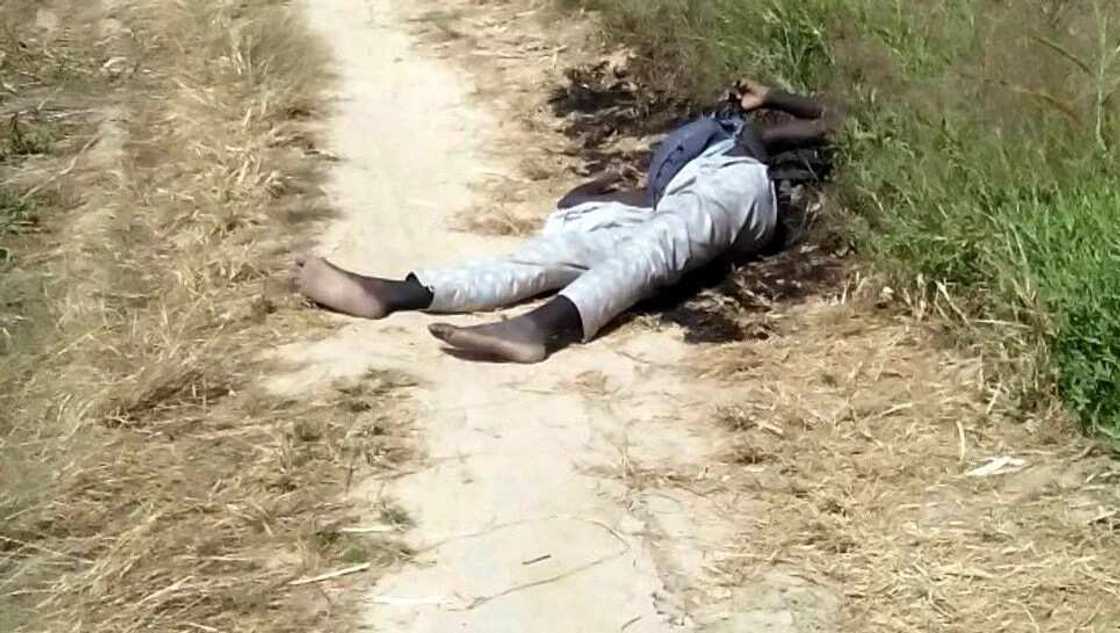 BREAKING: Several lives lost as explosions hit Maiduguri BREAKING: Several lives lost as explosions hit Maiduguri