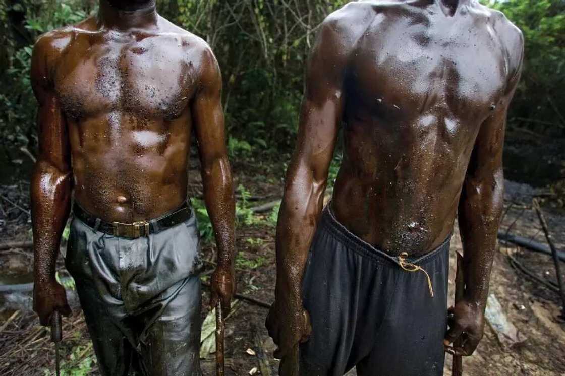 The Federal Government The Federal Government