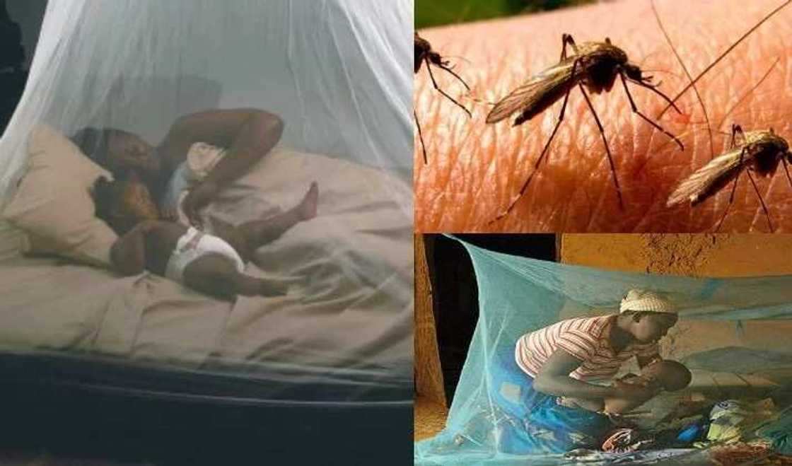 Kashi 66 daga cikin dari na magunguna jinyar zazzabin cizon sauro Malaria jabu ne