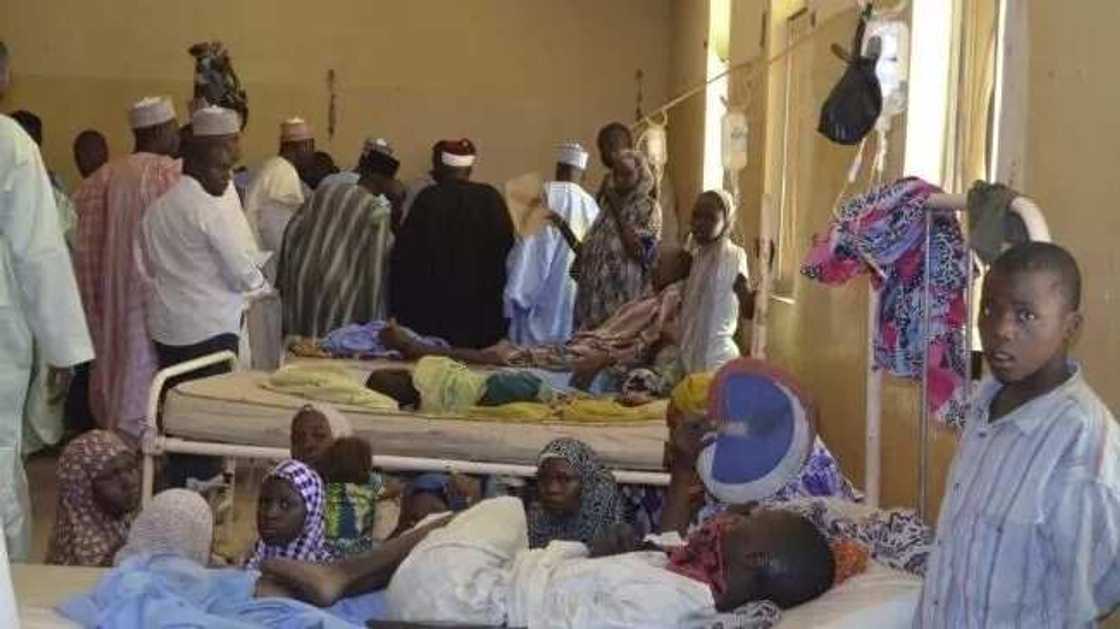 primary health care hospital primary health care hospital