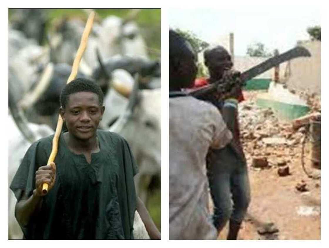 UN to probe Southern Kaduna killings UN to probe Southern Kaduna killings