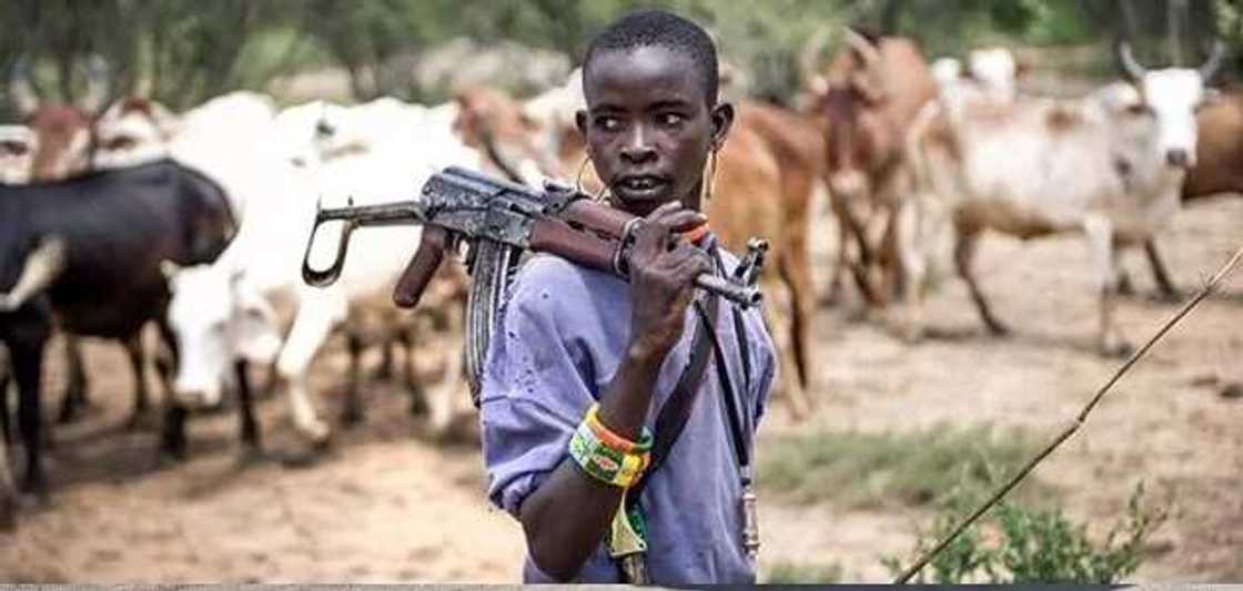 30 bodies recovered in Benue community after herdsmen attack 30 bodies recovered in Benue community after herdsmen attack