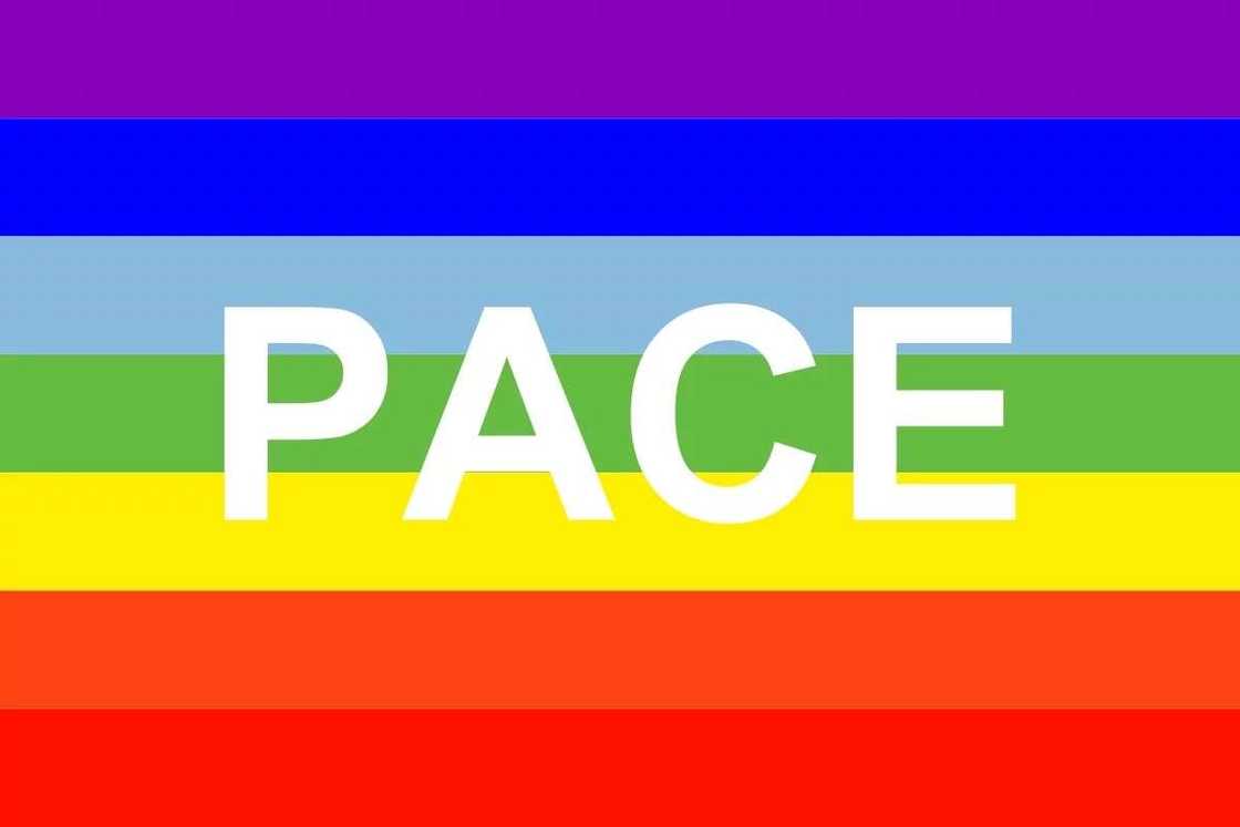 Pace rainbow flag peace sign Pace rainbow flag peace sign