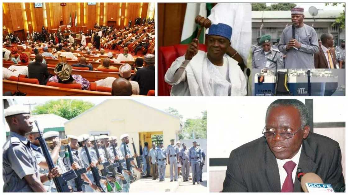 Senate has no right to order Customs boss - Falana Senate has no right to order Customs boss - Falana