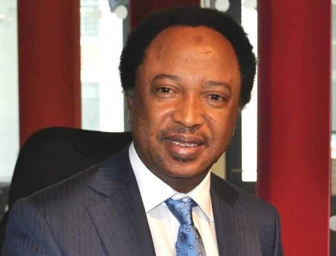 Mutane 5 da suka hana ni ficewa daga jam'iyyar APC - Shehu Sani