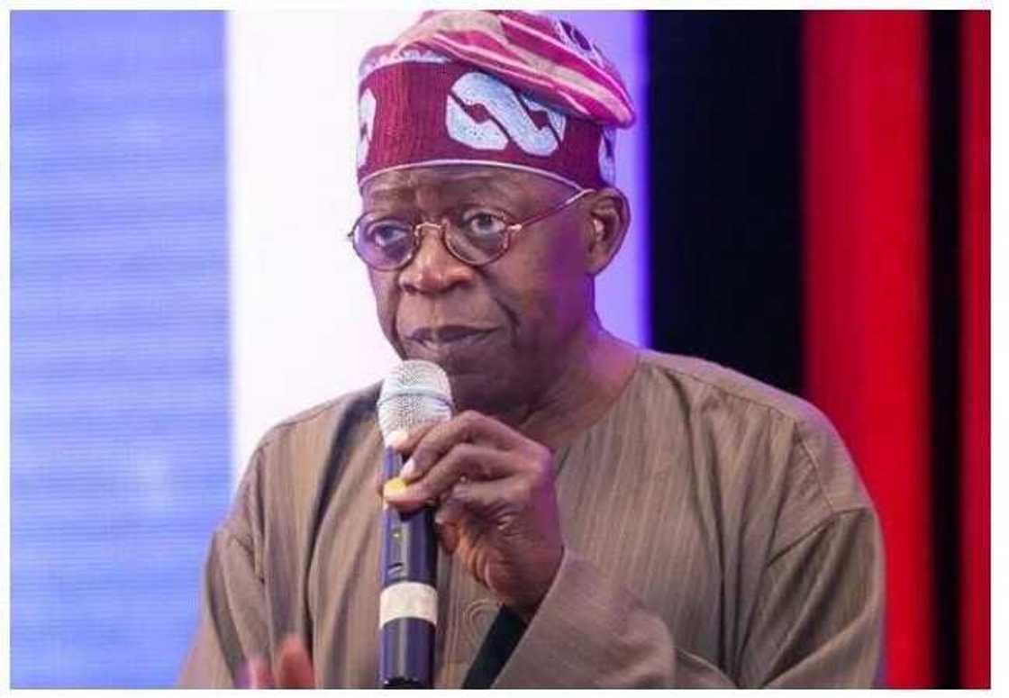 Obasanjo ya maidawa Tinubu martani bayan ya caccake sa a taron APC Obasanjo ya maidawa Tinubu martani bayan ya caccake sa a taron APC