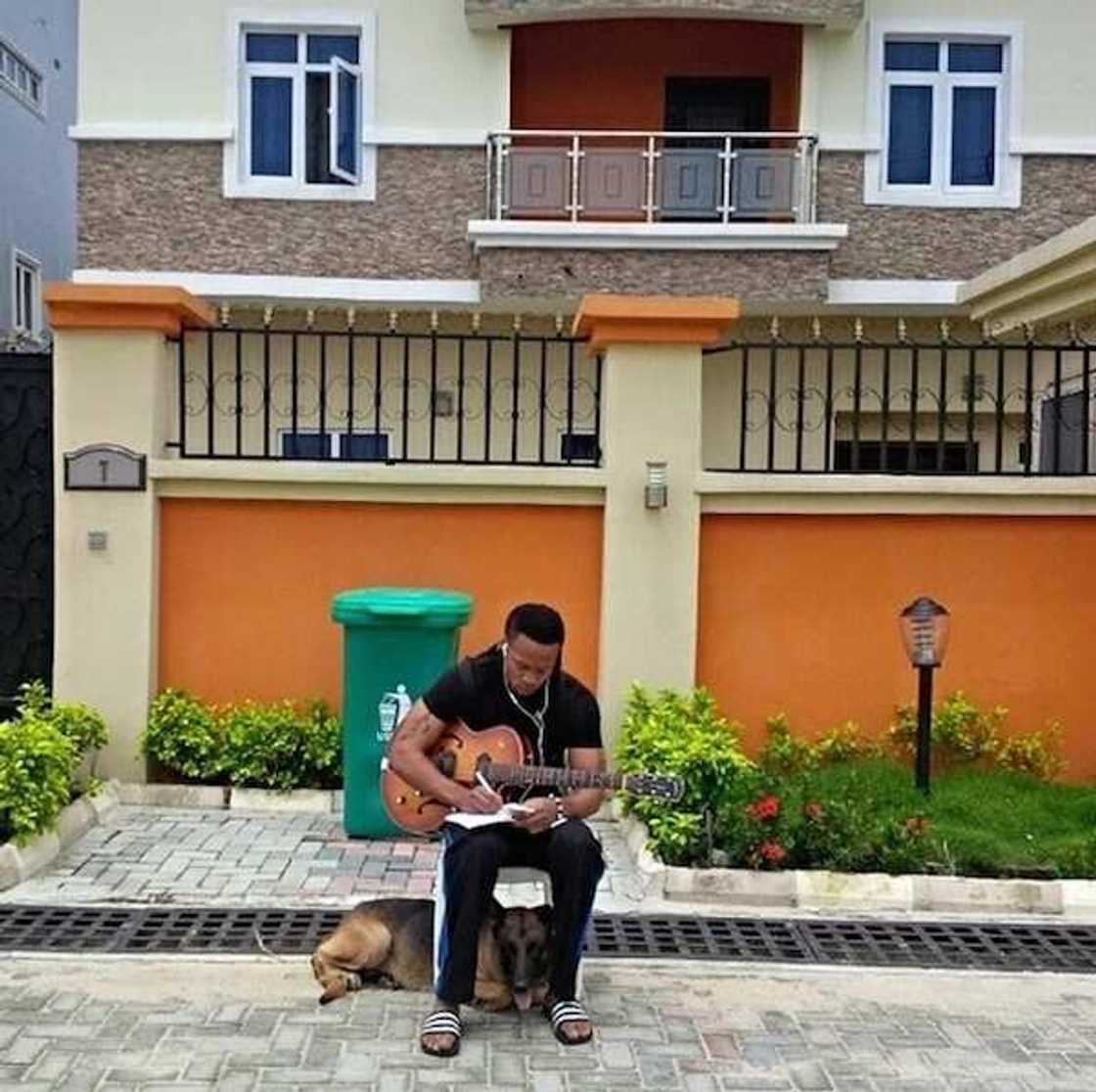 Flavour Nabania house