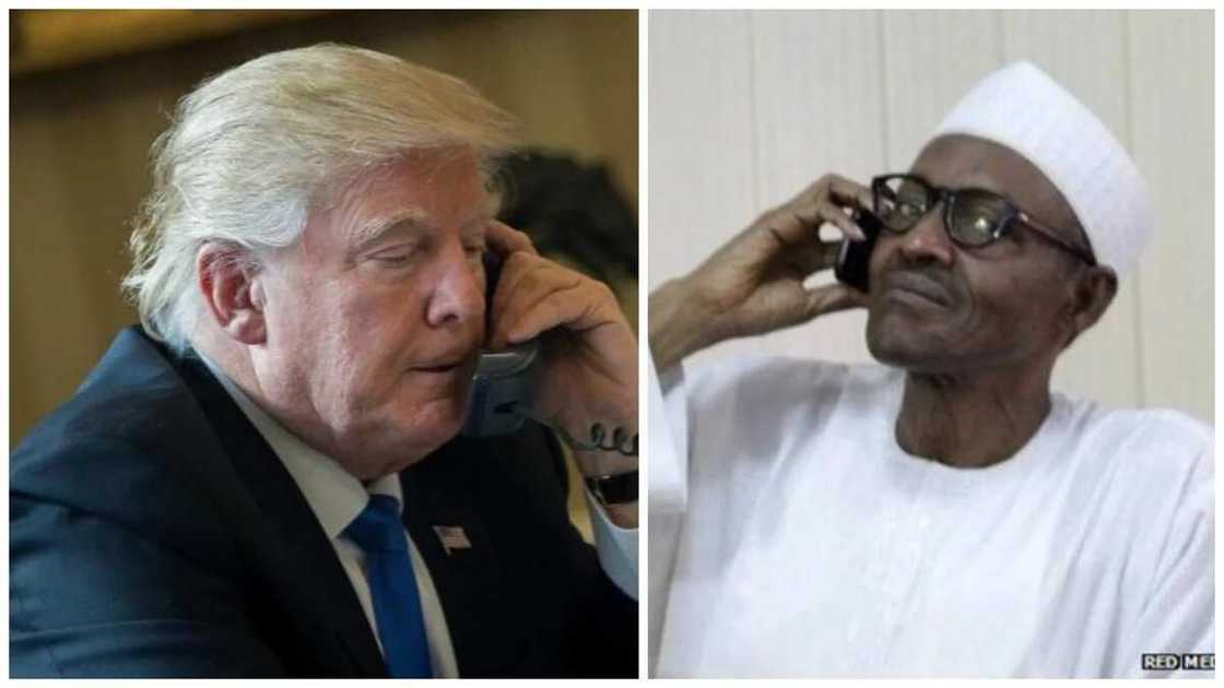 Why Nigerians should not believe presidency over Trump’s ‘phone call’ - Group Why Nigerians should not believe presidency over Trump’s ‘phone call’ - Group