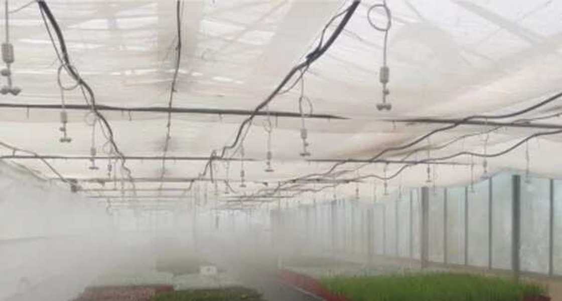 Irrigation farming in Nigeria AEROSOL Irrigation farming in Nigeria AEROSOL