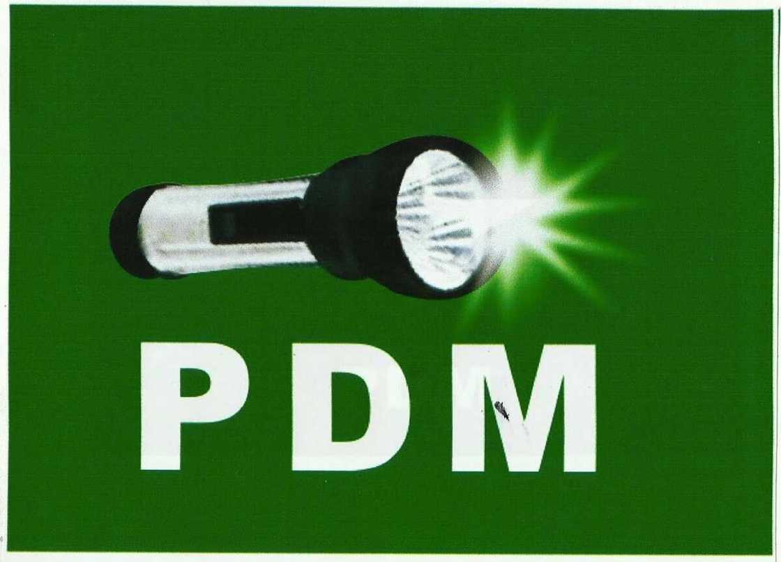 PDM party PDM party