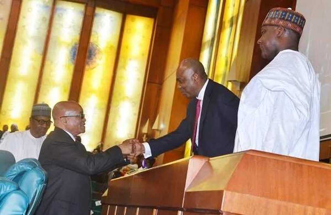 Zuma extols virtues of Buhari in fight against apartheid Zuma extols virtues of Buhari in fight against apartheid