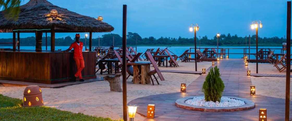 Aqua Safari Aqua Safari