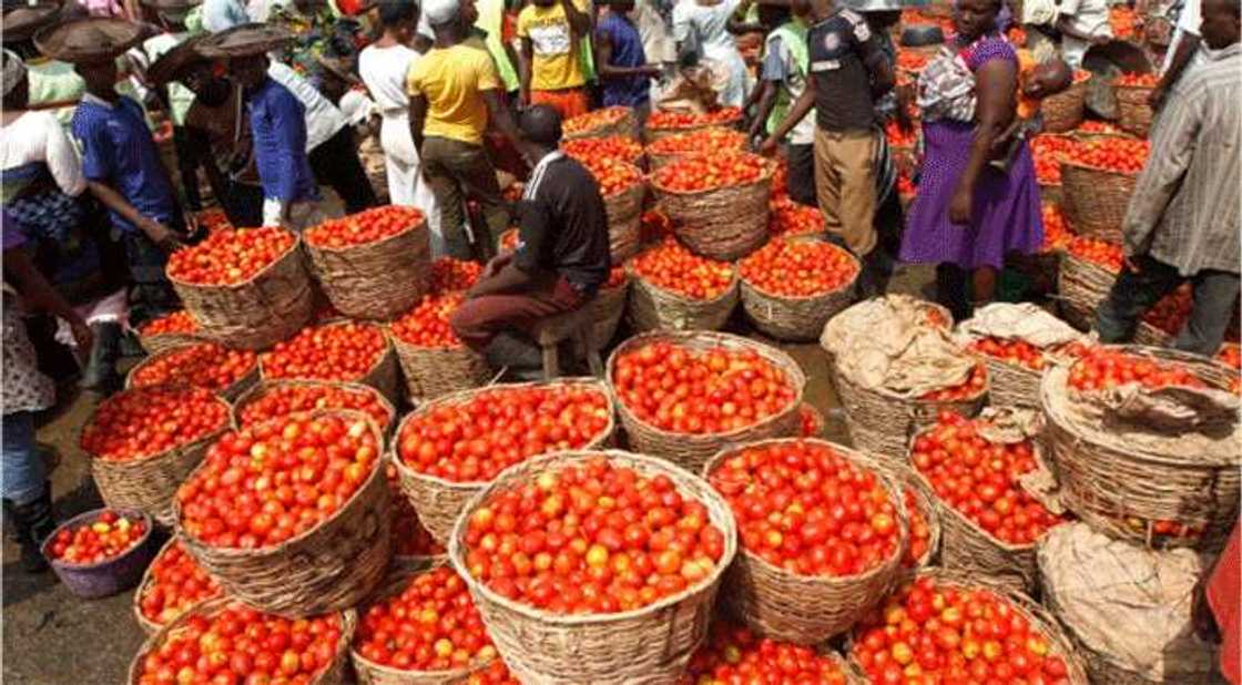 Prices of foodstuff crash ahead of Christmas