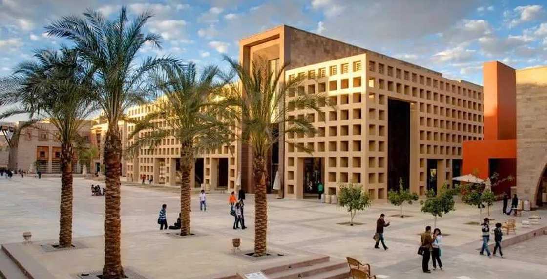 The American University in Cairo The American University in Cairo