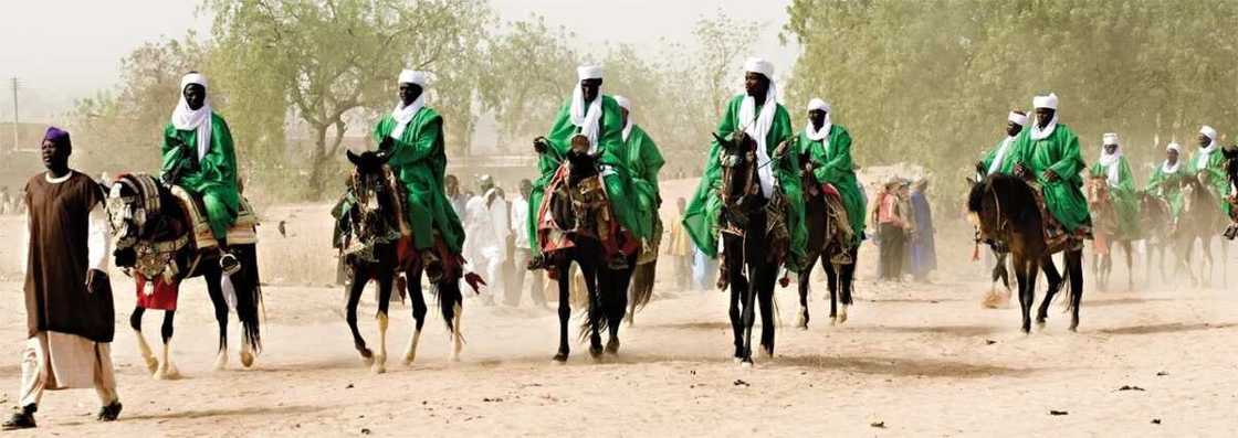 Argungu horse riding