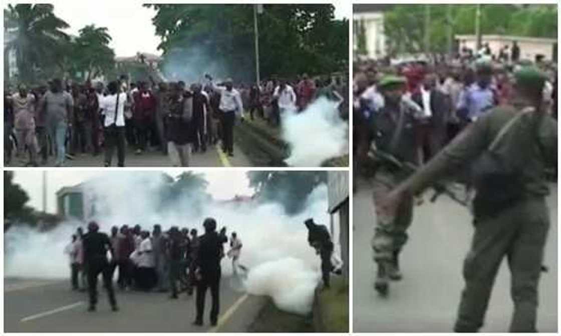 Taraliyan da faru a karshen makon da ya gabata Taraliyan da faru a karshen makon da ya gabata