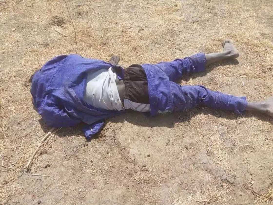 Boko Haram: Nigerian army rescues 500 people Boko Haram: Nigerian army rescues 500 people