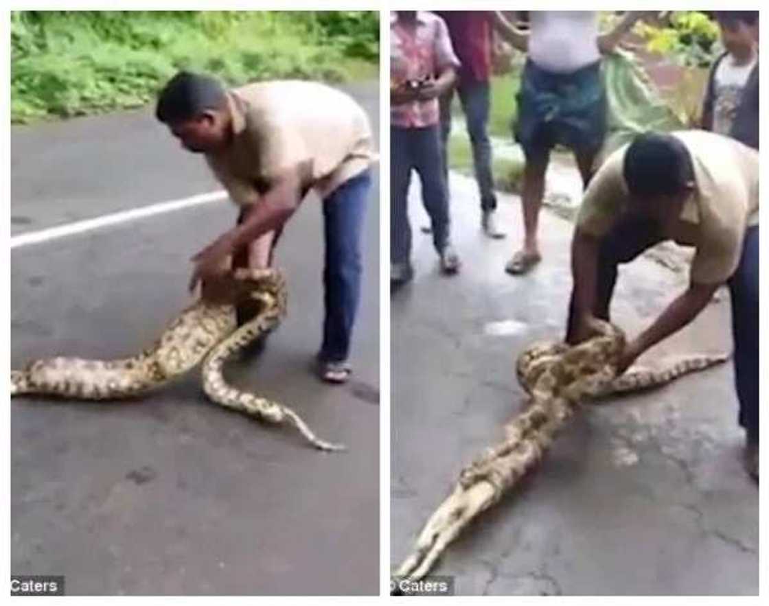 Wani katon maciji ya wata mata a ban daki Wani katon maciji ya wata mata a ban daki