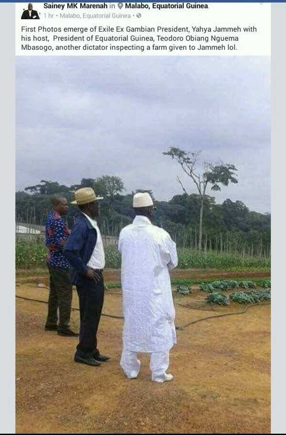 Tsohon shugaban Gambia, Yahaya Jammeh ya koma gona Tsohon shugaban Gambia, Yahaya Jammeh ya koma gona