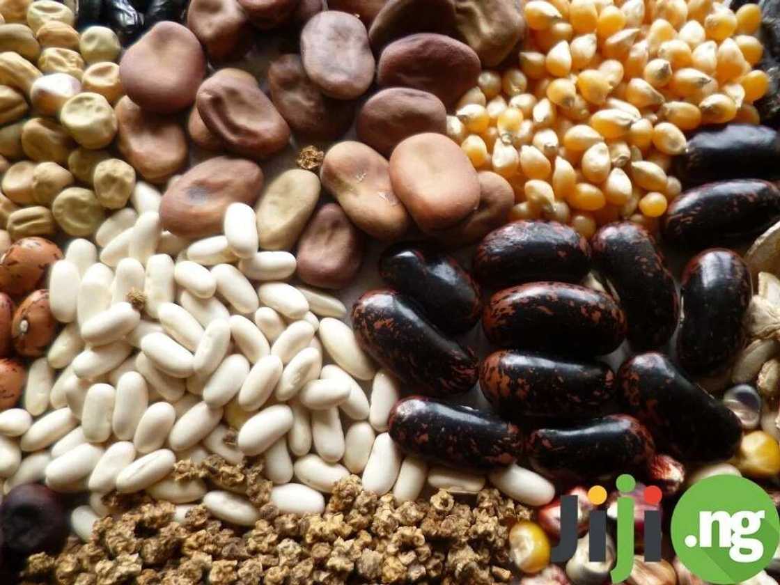 Top 11 easily accessible foods that are great for you Top 11 easily accessible foods that are great for you