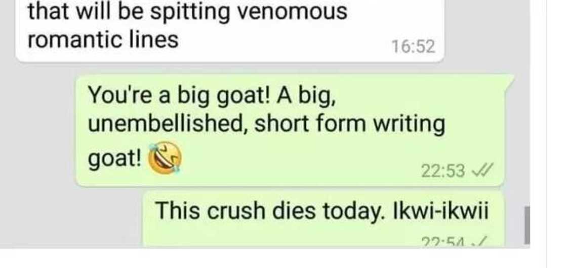 Shooting your shot! Lady gets the most hilarious response ever after asking a guy to be her valentine