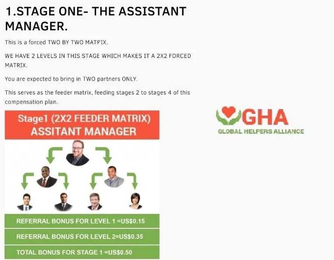 GHA - assistant manager