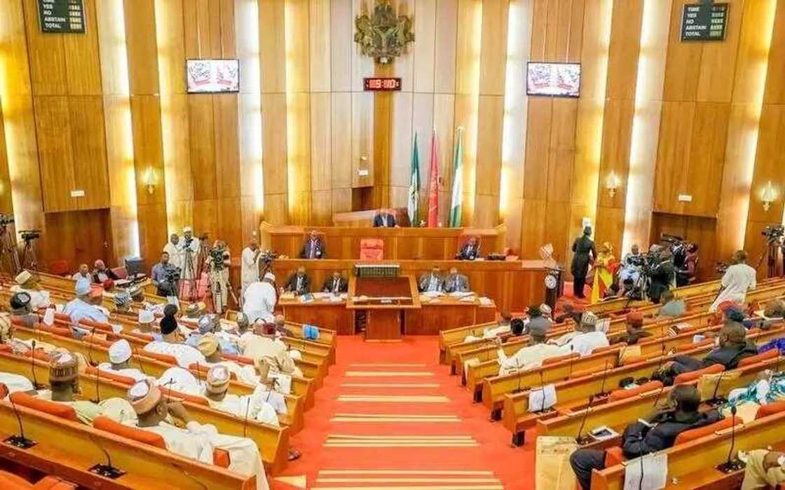 Senate pushes for Diaspora voting in 2019 Senate pushes for Diaspora voting in 2019