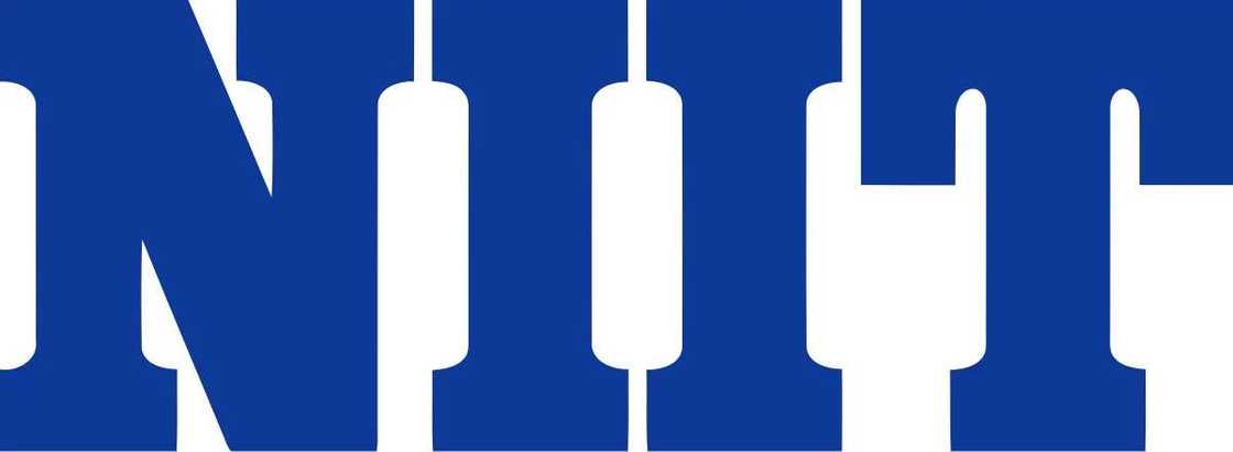 NIIT logo NIIT logo