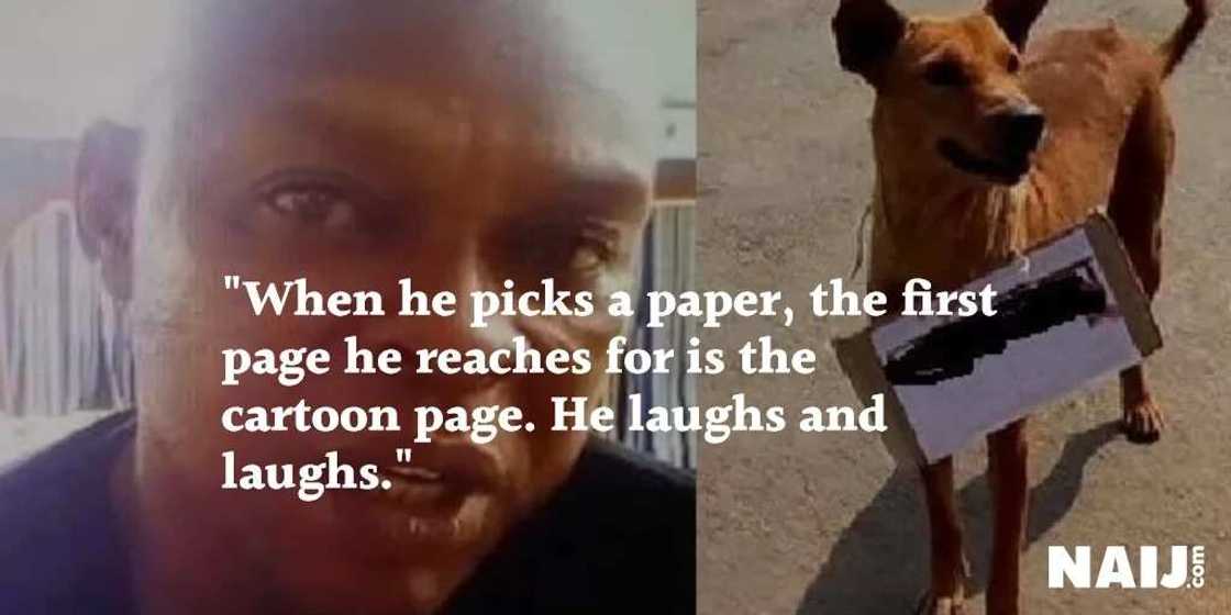 Senators attack Buhari's bid - Top 15 quotes of the week Senators attack Buhari's bid - Top 15 quotes of the week