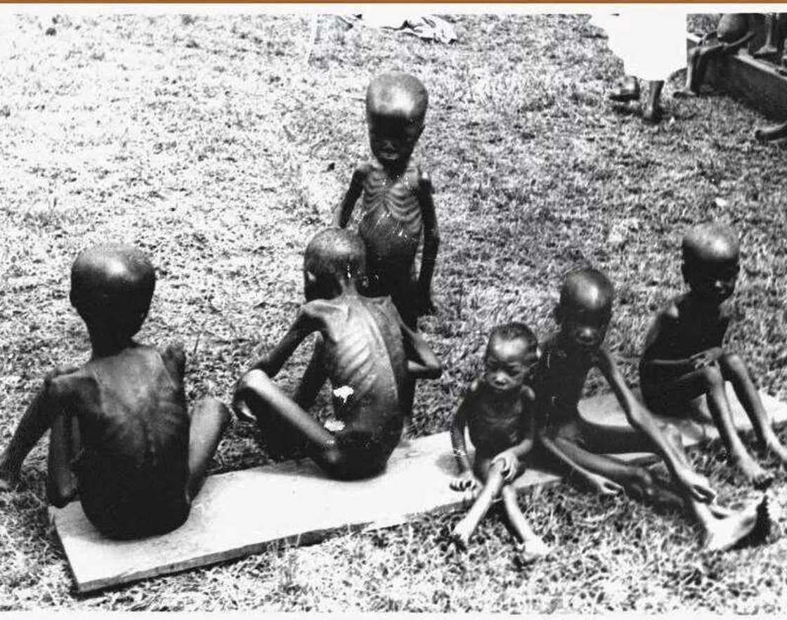 Opinion: The man who fed Biafra children Opinion: The man who fed Biafra children