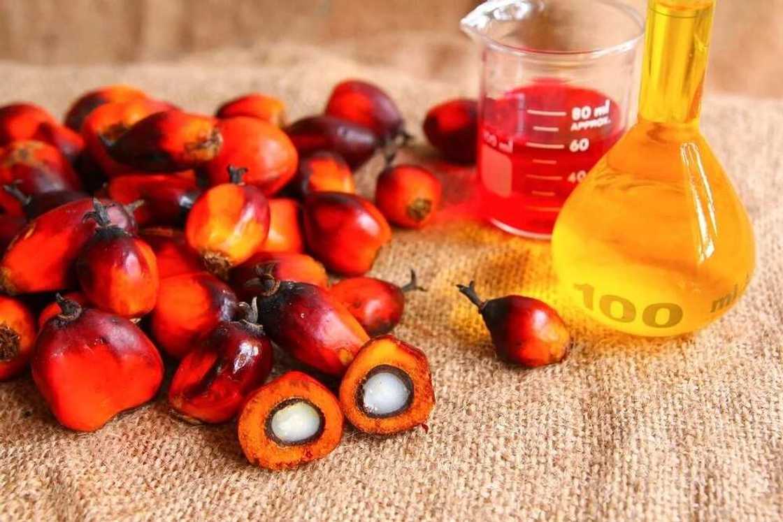 palm kernel oil