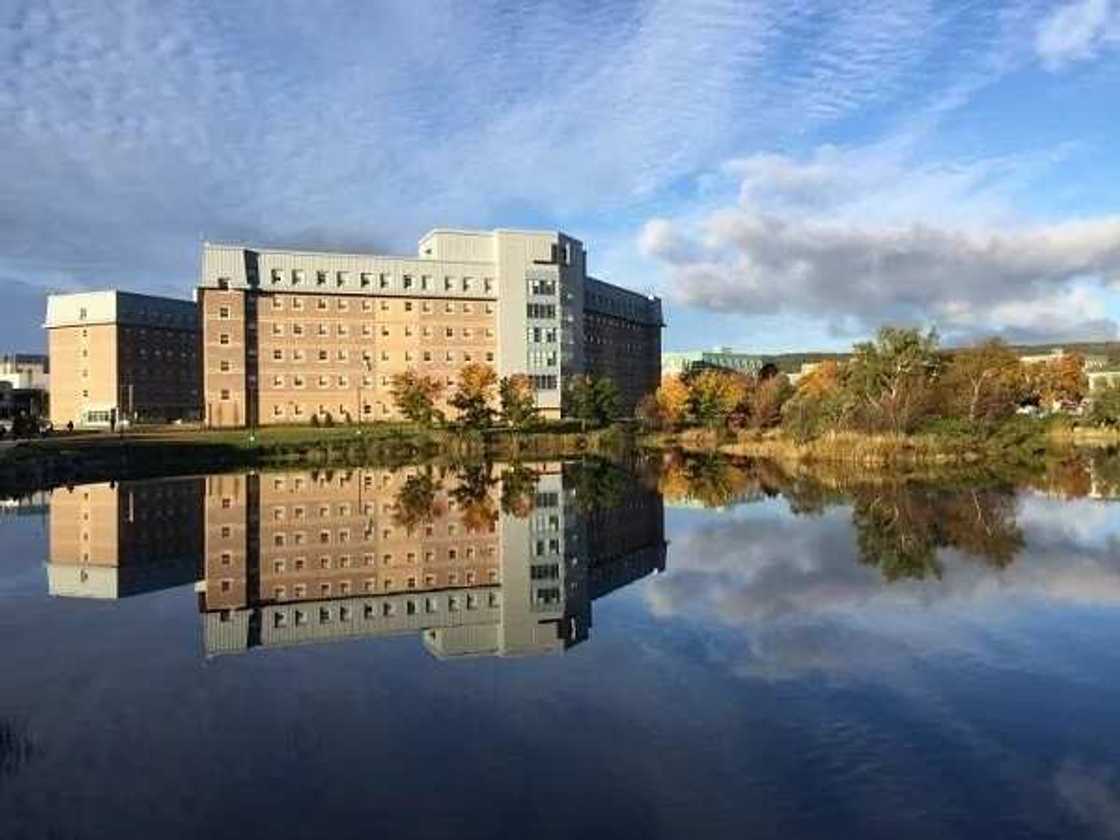 Memorial University of Newfoundland graduate programs