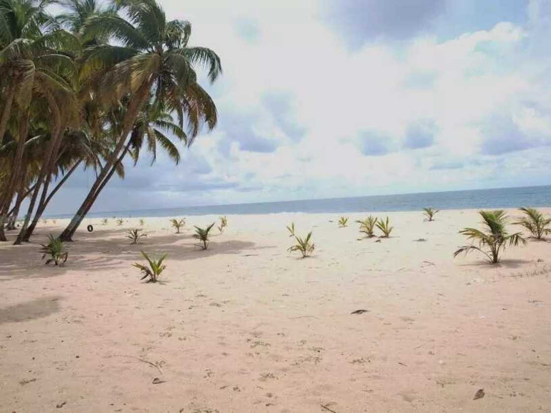 PHOTOS: Top 10 Lagos Attractions To Vist This Summer PHOTOS: Top 10 Lagos Attractions To Vist This Summer