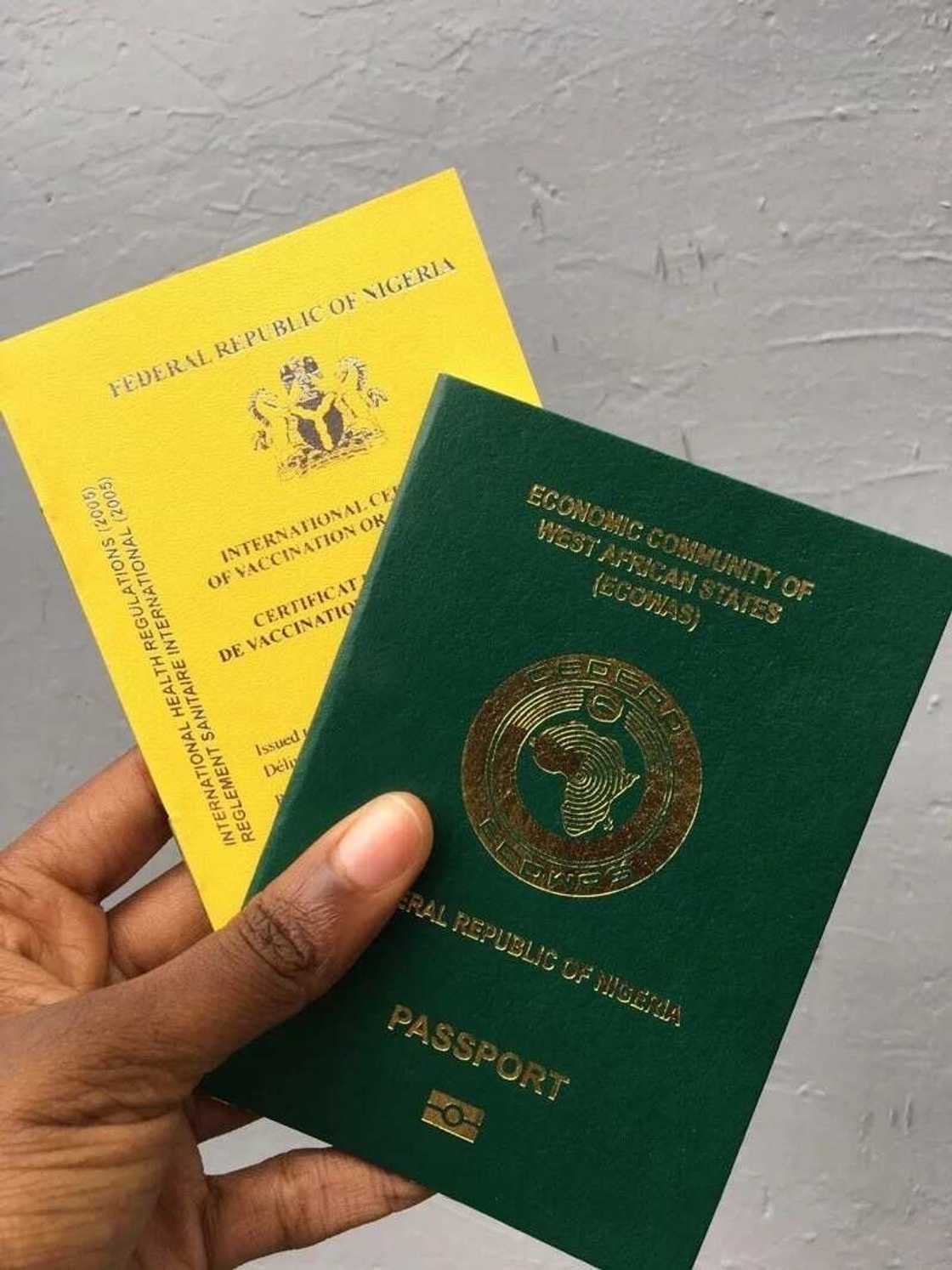 Where is Nigerian passport book number located?